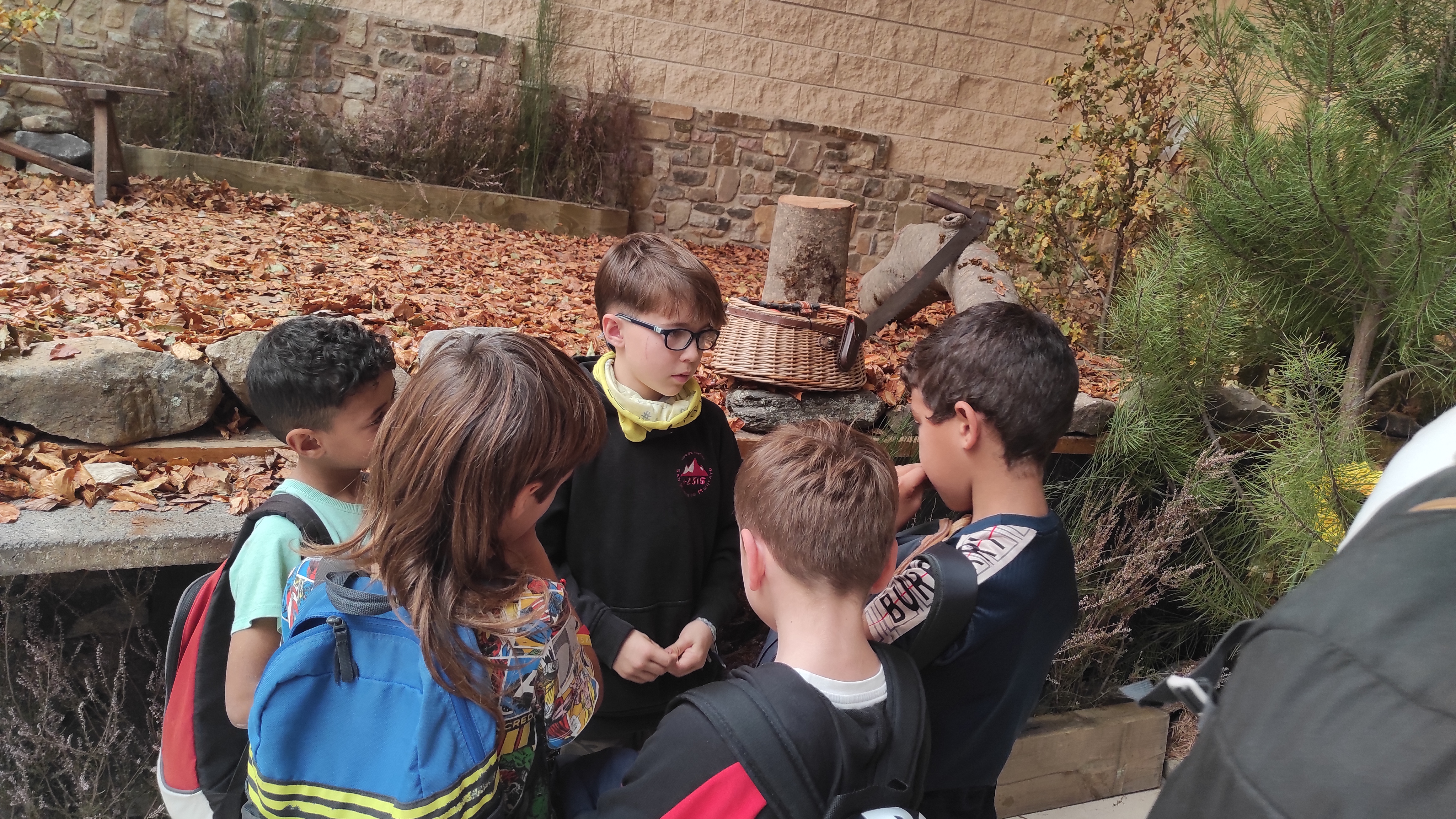 Copia de IMG_20251030_123015.jpg